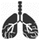 Emphsema lung icon