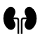 Kidney damage icon